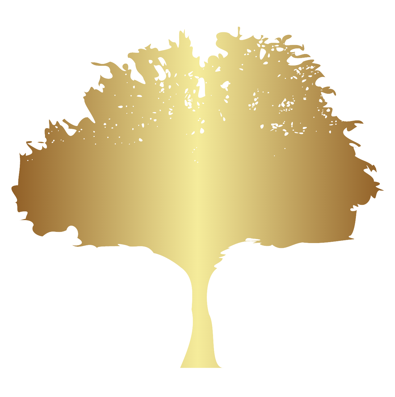 Legacy Vision Wealth Group